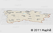 Shaded Relief Panoramic Map of Voru, lighten, desaturated