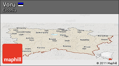 Shaded Relief Panoramic Map of Voru, lighten, semi-desaturated