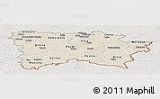 Shaded Relief Panoramic Map of Voru, lighten, semi-desaturated