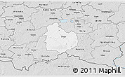 Silver Style 3D Map of Rouge