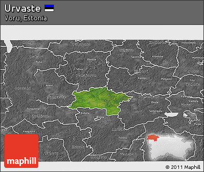 Satellite 3D Map of Urvaste, desaturated