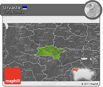 Satellite 3D Map of Urvaste, desaturated