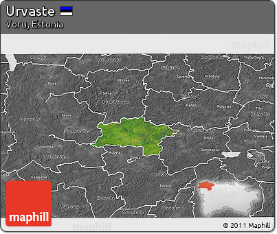 Satellite 3D Map of Urvaste, desaturated