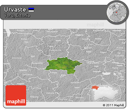 Satellite 3D Map of Urvaste, lighten, desaturated