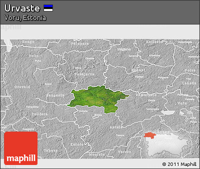 Satellite 3D Map of Urvaste, lighten, desaturated