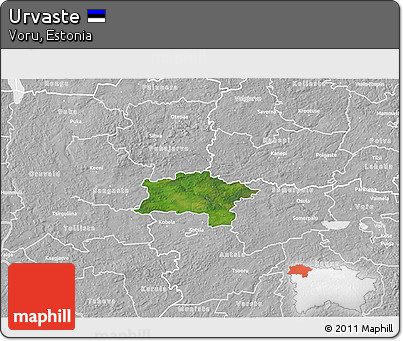 Satellite 3D Map of Urvaste, lighten, desaturated