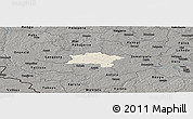 Shaded Relief Panoramic Map of Urvaste, darken, semi-desaturated