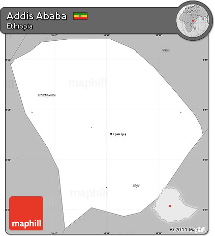 Gray Simple Map of Addis Ababa