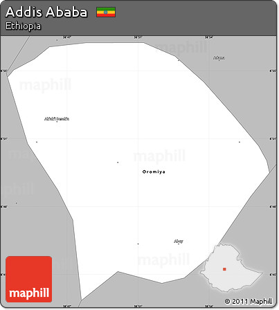 Gray Simple Map of Addis Ababa