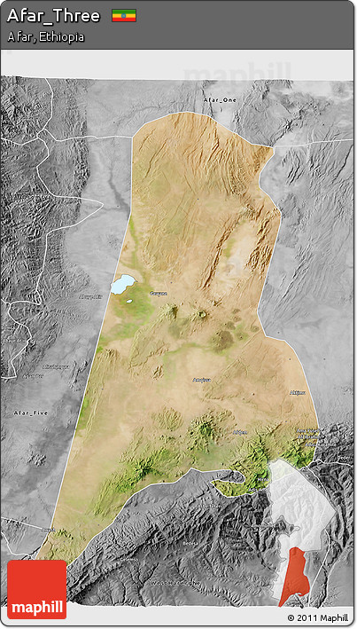 Satellite 3D Map of Afar_Three, desaturated