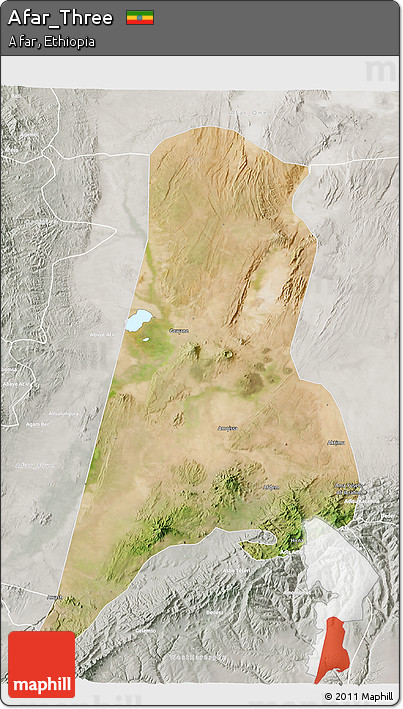 Satellite 3D Map of Afar_Three, lighten, semi-desaturated