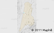 Shaded Relief Map of Afar_Three, lighten, desaturated