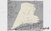 Shaded Relief Panoramic Map of Afar_Three, darken, desaturated