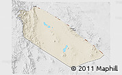 Shaded Relief 3D Map of Afar_Two, lighten, desaturated