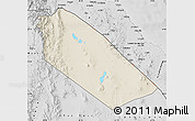 Shaded Relief Map of Afar_Two, desaturated