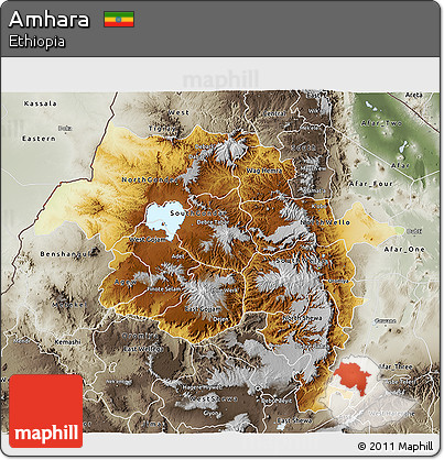 Physical 3D Map of Amhara, semi-desaturated