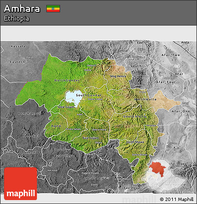 Satellite 3D Map of Amhara, desaturated