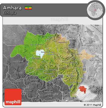 Satellite 3D Map of Amhara, desaturated