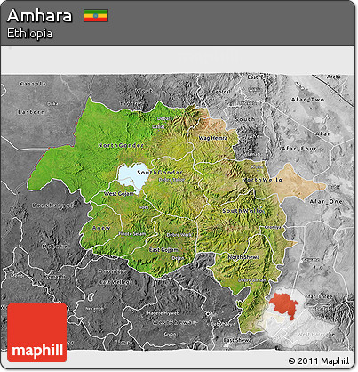 Satellite 3D Map of Amhara, desaturated