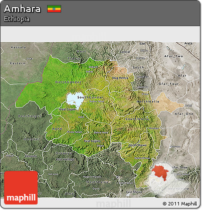 Satellite 3D Map of Amhara, semi-desaturated