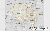 Shaded Relief 3D Map of Amhara, desaturated