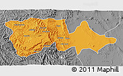 Political 3D Map of North Wello, desaturated