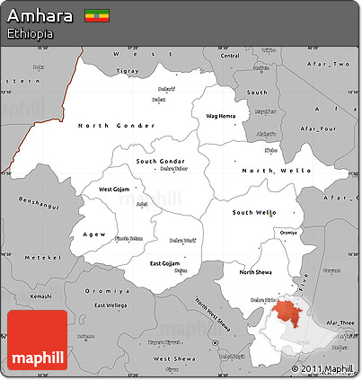 Gray Simple Map of Amhara