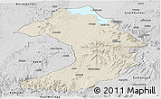 Shaded Relief Panoramic Map of West Gojam, desaturated