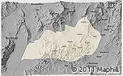 Shaded Relief 3D Map of Konso, darken, desaturated