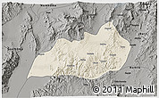 Shaded Relief 3D Map of Konso, darken, semi-desaturated