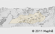 Shaded Relief Panoramic Map of Konso, desaturated