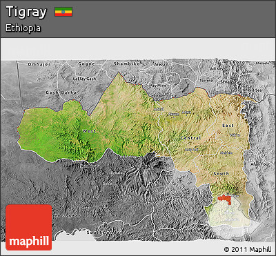 Satellite 3D Map of Tigray, desaturated