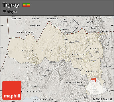 Shaded Relief Map of Tigray, semi-desaturated