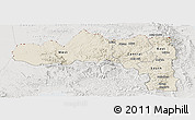 Shaded Relief Panoramic Map of Tigray, lighten, semi-desaturated