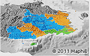 Political Panoramic Map of Central, desaturated