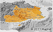 Political Shades Panoramic Map of Central, desaturated