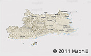 Shaded Relief Panoramic Map of Central, cropped outside