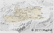 Shaded Relief Panoramic Map of Central, lighten, desaturated