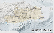 Shaded Relief Panoramic Map of Central, lighten, semi-desaturated