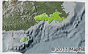 Physical 3D Map of Rewa, darken, semi-desaturated
