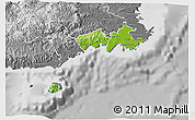 Physical 3D Map of Rewa, desaturated