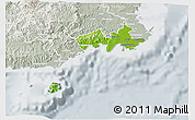 Physical 3D Map of Rewa, lighten, semi-desaturated