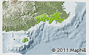 Physical 3D Map of Rewa, semi-desaturated