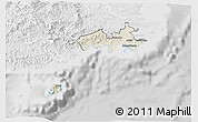 Shaded Relief 3D Map of Rewa, lighten, desaturated
