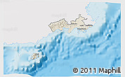 Shaded Relief 3D Map of Rewa, single color outside