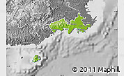 Physical Map of Rewa, desaturated