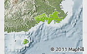 Physical Map of Rewa, semi-desaturated