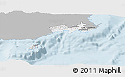 Gray Panoramic Map of Rewa, single color outside