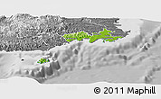 Physical Panoramic Map of Rewa, desaturated