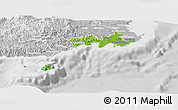 Physical Panoramic Map of Rewa, lighten, desaturated
